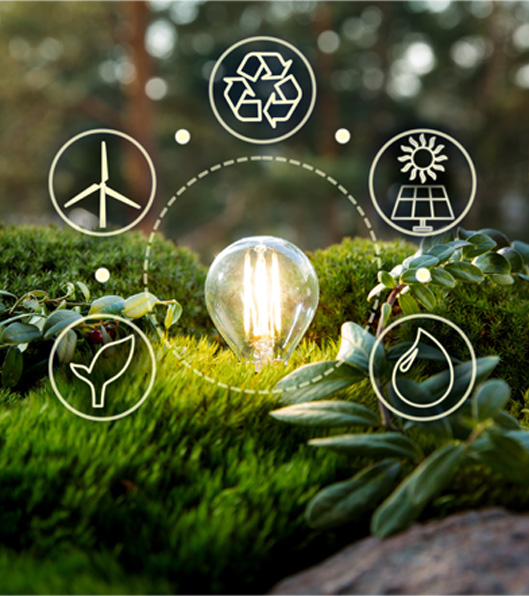 Edgewater Environmental Consulting, home energy solutions, energy experts